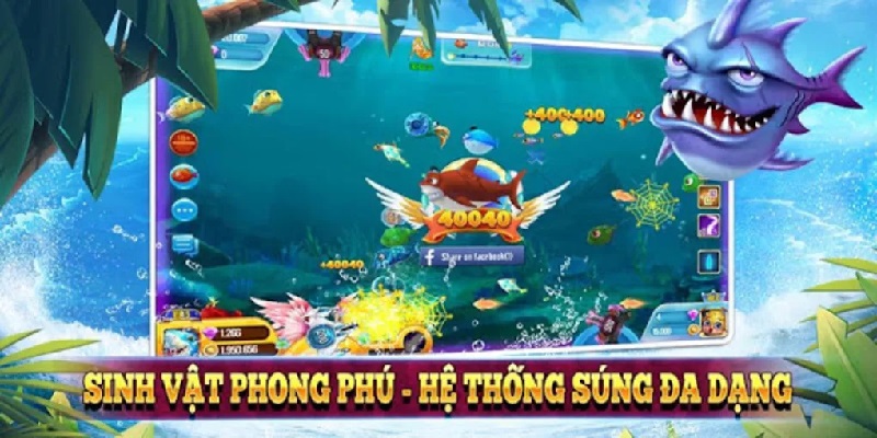 Điểm nổi bật 