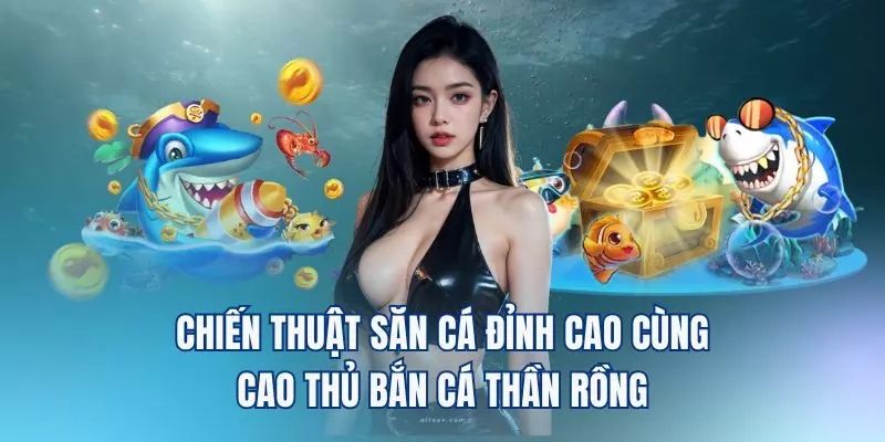 Chiến thuật săn cá đỉnh cao cùng cao thủ bắn cá thần rồng