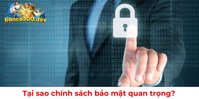 Những lý do tại sao chính sách bảo mật lại quan trọng