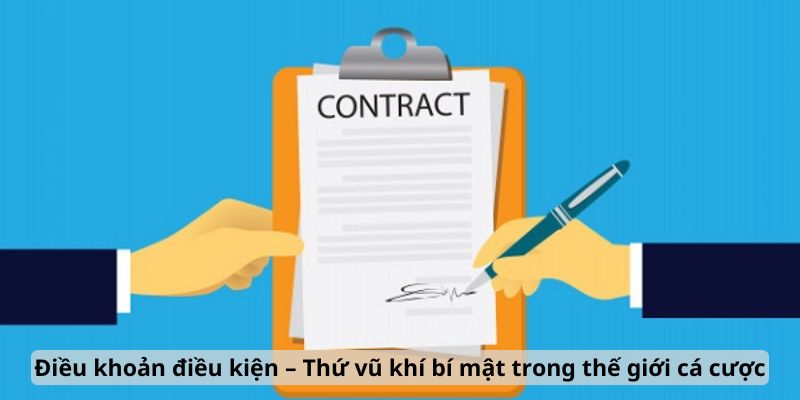 Tổng quan về các chính sách trong điều khoản điều kiện tại Banca30